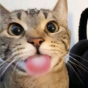 avatar neuteredsubmissivetwink