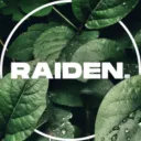 Raiden. avatar