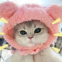 alexomc_