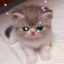 helloimkoko