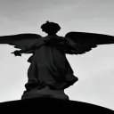 lysenkotimofei avatar