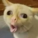 dosbevou
