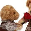 bearlyabear_.