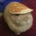 Pvt. MihaiFTP