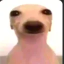 jercrack