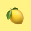 avatar ⋆｡˚୨𝑳𝒆𝒎𝒐𝒏yZiggy୧˚｡⋆