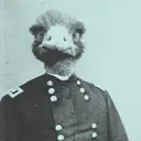 generalemu