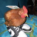 avatar 💎*°• 𝓒𝓸𝓵𝓲 •°*💎