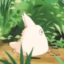 pandakotah