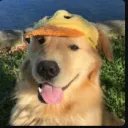 llllllllllllillllllllllllllli