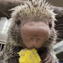 avatar wen🧸ྀི