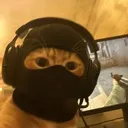 𝙏𝙧𝙞𝙥𝙡𝙚 𝙄𝙩𝙨𝙝
