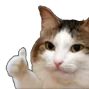 klutchcfphofficial