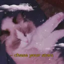 2926282020