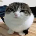 h0duck