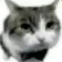 kevindebruynee_ avatar