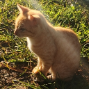 avatar lΩcax🌟🌌