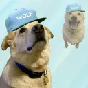 acethecreator666 avatar