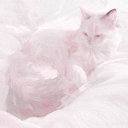 avatar ⋆˚࿔ Vio ! <3 𝜗𝜚˚⋆