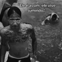 dabrasil