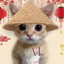 positive_asian.