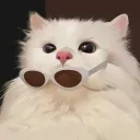 miaolaoda1611