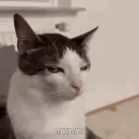 th3dxrk4ng3l_