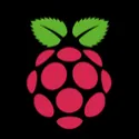 raspi_dude