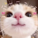 avatar Doublep