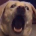 avatar TheGuyYouKnow