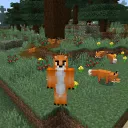 rashbranch