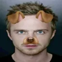 dreis_n avatar