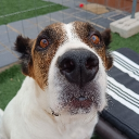 avatar 𝐯𝐢𝐜𝐤𝐲 ✿†