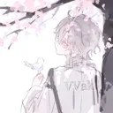 .vvak.