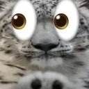 axcxiii