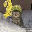 avatar PAVOx