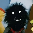 carlthemoose