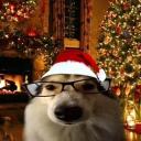 whizify's profile picture