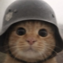 avatar Zyn’s