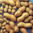 peanuts_69