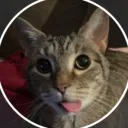 yobro_sp