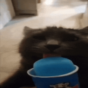 avatar matt (gg/virtualaim)