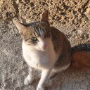 avatar Prussian Blue