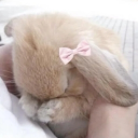 BonnieBnuy
