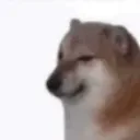 stupidk_1