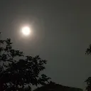 vnhao294