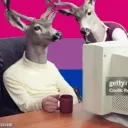 polarschweif