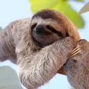 fuzzymato