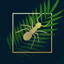 ant_oasis