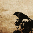 avatar 影の kingahm4d 君主